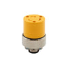 Cooper Industries Arrow Hart Ultra Grip Locking Plug (20A, Yellow)