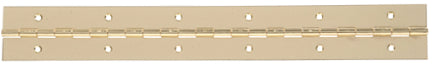 48X1-1/2  BRASS PLATED CONT HINGE