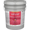 Valspar® Medallion® Plus Exterior Paint + Primer Semi-Gloss 5 Gallon Pastel Base