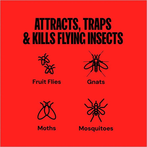 Dynatrap® Indoor Insect Trap