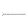 Monster Fastener White Painted Steel Panel Flat Head Nails