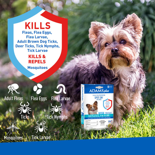 ADAMS™ Plus Flea & Tick Prevention Spot On for Dogs