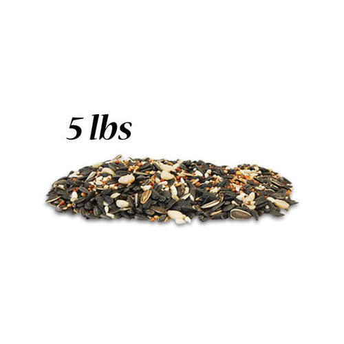 BestNest Wild Bird Seed Mix Deluxe Blend with Fruit