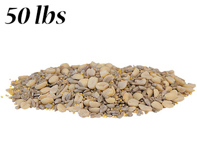 BestNest Wild Bird Seed Mix, Waste Free Blend