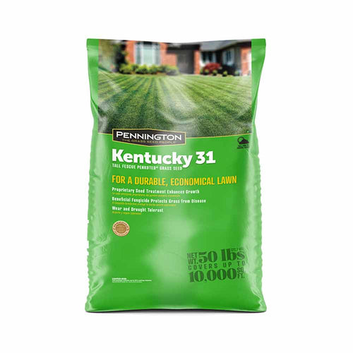Pennington Kentucky 31 Tall Fescue Grass Seed