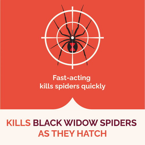 HOT-SHOT Spider & Scorpion Killer