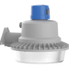 Lithonia Lighting BarnGuard LED Outdoor Barn Light