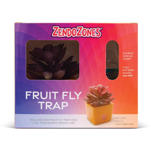 JT Eaton ZendoZones Succulent Fruit Fly Trap – Mellow Molly Design with Terracotta Base