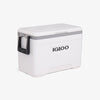 Igloo Marine 25 Qt Cooler