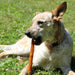The Country Butcher Pork Roll Large Dog Treats