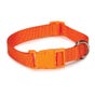 Casual Canine Nylon Dog Collars 10-16 in, Orange (10-16, Orange)